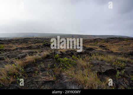 Pétroglyphes dans le parc national des volcans sur la grande île d'hawaï avec le plus grand volcan actif- sur la grande île d'hawaï- île d'hawaï, hawaï, U. Banque D'Images