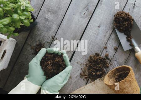 Concept de passe-temps de jardinage. ECO pot, plante verte, mains de jardinier dans des gants, pelle sur fond en bois plat. Banque D'Images