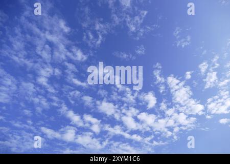 Nuages blancs moelleux sur le ciel bleu, peut être un fond ou un papier peint Banque D'Images