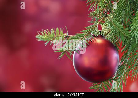 Boule de noël rouge sur branche de sapin vert d'un arbre de noël, fond rouge Banque D'Images