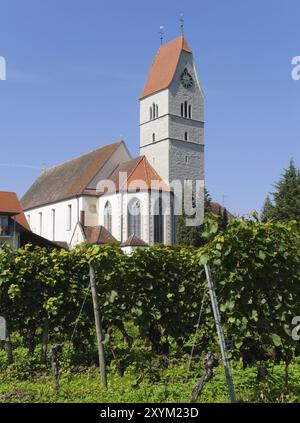 Église et vignes à Hagnau sur le lac de Constance Banque D'Images