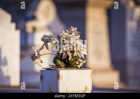 Des fleurs de soie blanche reposent sur une pierre tombale Banque D'Images