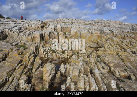 Vue sur la côte en suède sur la mer baltique, près de skane, varhallen. Côte de Skane sur la mer Baltique en Suède varhallen, oesterlen Banque D'Images