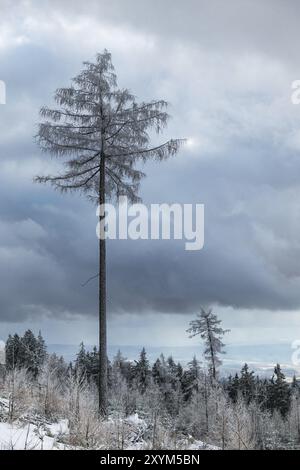 Hiver dans les montagnes des géants près de Benecko République tchèque Banque D'Images