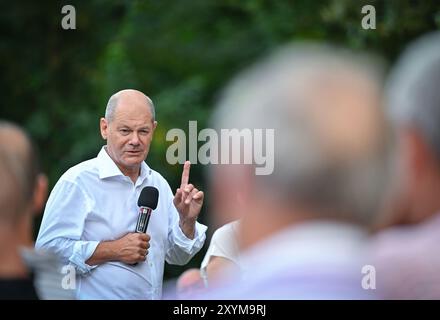 Seelow, Allemagne. 29 août 2024. Le Chancelier fédéral Olaf Scholz, qui voyage en tant que membre du SPD au Bundestag dans la circonscription de Potsdam, participera à une discussion publique dans la soirée dans le cadre de sa tournée estivale. Crédit : Patrick Pleul/dpa/Alamy Live News Banque D'Images