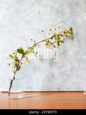 De belles fleurs de printemps fond design with copy space Banque D'Images