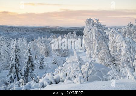 Paysage hivernal, Norrbotten, Laponie, Suède, novembre 2017, Europe Banque D'Images