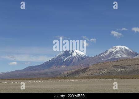 Photographie de la plus haute montagne de Bolivie Mont Sajama Banque D'Images