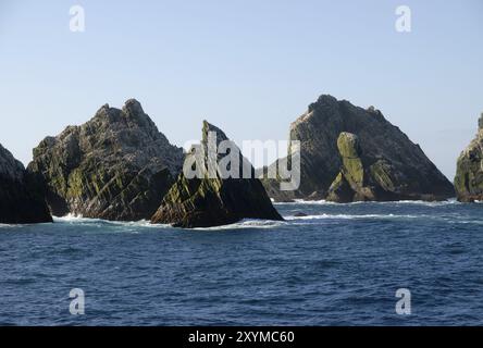 À propos de Shag, 130 milles à l'ouest de la Géorgie du Sud dans l'océan Atlantique sud, avec les cormorans mouchetés nichent dans top Banque D'Images