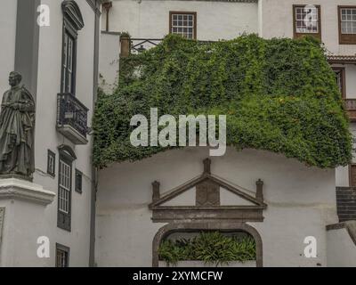 Bâtiment historique couvert de lierre, à côté d'une statue, avec des fenêtres et des détails architecturaux, la palma, îles canaries, espagne Banque D'Images