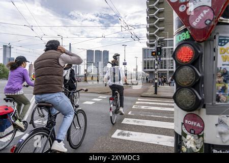 Feu de circulation à vélo, cycliste sur piste cyclable, vélo au feu rouge, en face du pont Erasmus sur la Nieuwe Maas, horizon de gratte-ciel sur le Banque D'Images