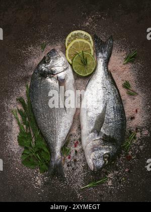 Poisson dorado frais, cru, sur le fond, vue de dessus, deux morceaux, personne Banque D'Images