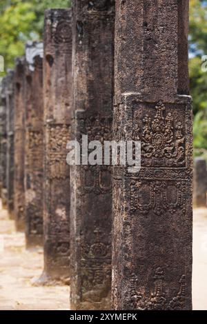 Les colonnes sculptées de la salle d'audience s'alignaient en ligne à Polonnaruwa, l'ancienne capitale du Royaume du Sri Lanka Banque D'Images