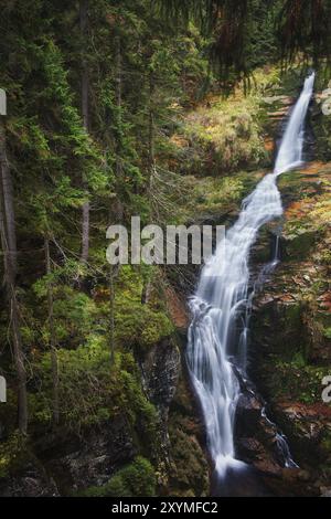 Belle cascade de Kamienczyk (polonais : Wodospad Kamienczyka) dans les montagnes de Karkonosze, près de Szklarska Poreba, Pologne, Europe Banque D'Images