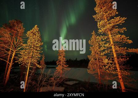 Aurores boréales (Aurora borealis) au-dessus d'un lac gelé, Norrbotten, Laponie, Suède, octobre 2014, Europe Banque D'Images