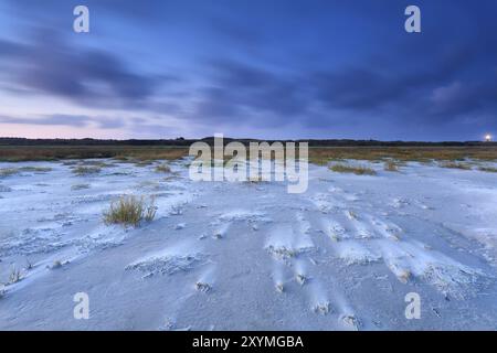 Plage de sable venteuse sur la mer du Nord au crépuscule, Schiermonnikoog, pays-Bas Banque D'Images