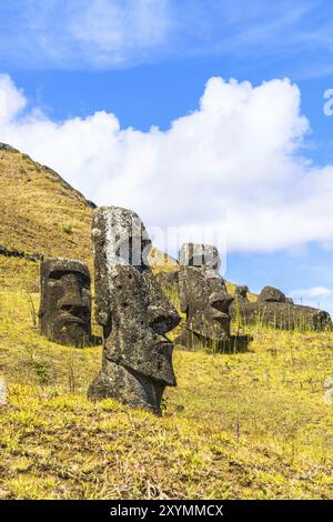 Moai, la sculpture sur pierre volcanique du parc national de Rapa Nui sur l'île de Pâques, Chili, Amérique du Sud Banque D'Images