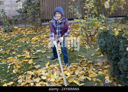 joyeux garçon de 7 ans ratisse les feuilles d'automne tombées dans le jardin. Nettoyage saisonnier. Ambiance automnale. Petite aide Banque D'Images