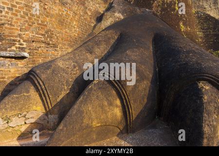 Un gros plan d'un pied de lion à l'entrée du rocher Sigiriya qui garde les marches pour monter plus loin jusqu'à l'ancienne forteresse et monastère au Sri Lanka Banque D'Images