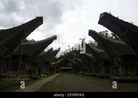 Une rangée de maisons de bateaux traditionnelles dans un village de Tana Toraja près de Rantepao, Sulawesi, Indonésie, Asie Banque D'Images