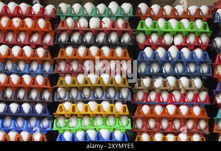 Oeufs dans des cartons colorés Banque D'Images