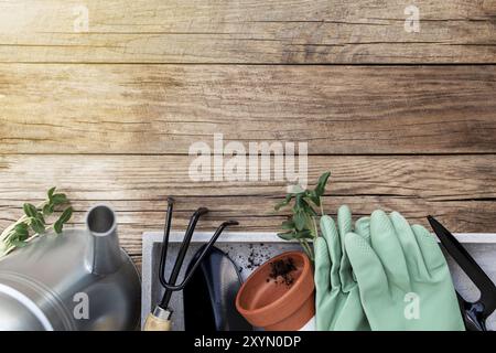 Jardinage concept passe-temps plat avec semis de concombre cultivé vert, pot en céramique, fourche, pelle, gants,arrosoir en métal et saleté sur le bois Banque D'Images