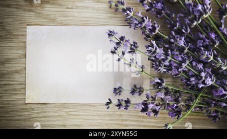 Des fleurs de lavande sur fond de bois blanc avec Banque D'Images