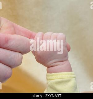 La main de bébé atteint la main de la mère Banque D'Images