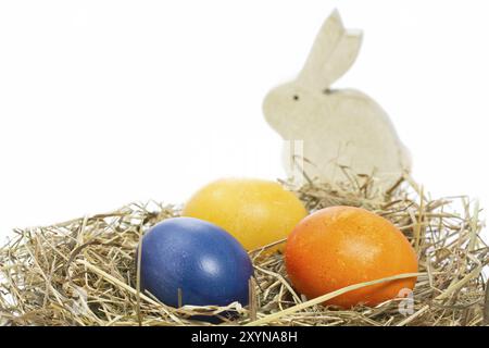 Oeufs de Pâques colorés avec lapin Banque D'Images