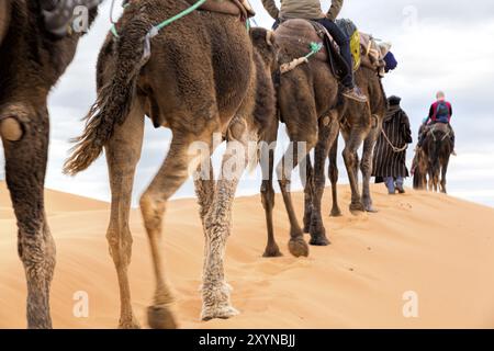 Touristes dans le désert de l'Erg Chebbi, Maroc, Afrique Banque D'Images