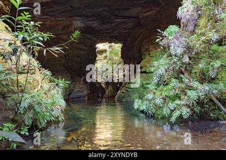 River en passant par l'intérieur d'une grotte entourée par la végétation de la forêt tropicale brésilienne Banque D'Images