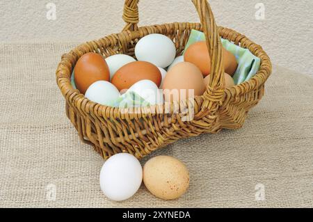 Oeufs de poule dans un panier bast Banque D'Images