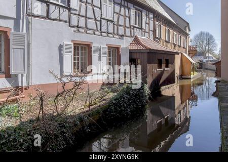 Maisons à colombages sur le canal de la Lauter, canal de Lauter, vieille ville de Wissembourg, Alsace, France, Europe Banque D'Images