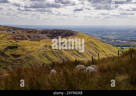 Les moutons paissent au-dessus de Dearden Clough avec les gratte-ciel de Manchester au loin. Banque D'Images