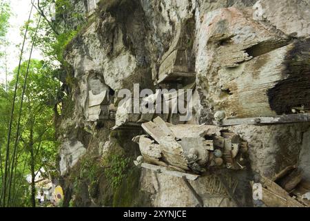 Une coutume pratiquée par les habitants de Tana Toraja, des tombes semi-ouvertes pendent du flanc d'une falaise à Rantepao, Sulawesi, Indonésie, Asie Banque D'Images