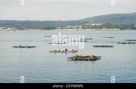 Plates-formes en bois appelées bateas pour la culture des moules. Paysage marin. Rias Baixas, Galice, Espagne, Europe Banque D'Images