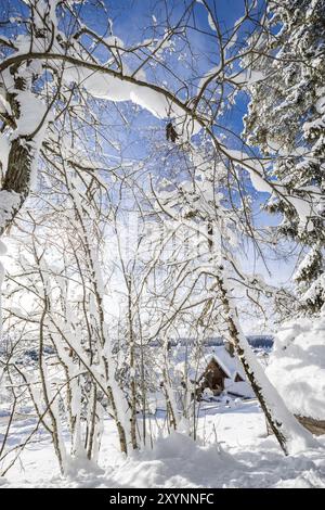 Vue sur un village enneigé dans la Forêt Noire Banque D'Images