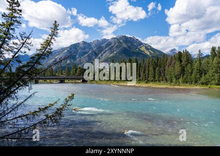 Pont de l'avenue Banff au-dessus de la rivière Bow en été, par beau temps. Parc national Banff, Rocheuses canadiennes, Alberta, Canada. Mont Norquay en arrière-plan. Banque D'Images