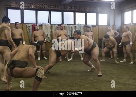 Tokyo, Japon, 21 décembre 2014 : un lutteur de sumo japonais s'entraîne dans son stand dans le district de Ryogoku, en Asie Banque D'Images