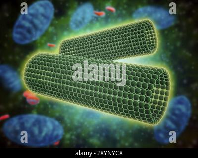 Vue microscopique de la structure en tonneau de centrioles dans une cellule humaine. Un centriole est une structure cellulaire en forme de cylindre trouvée chez la plupart des eucaryoti Banque D'Images