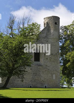 De Wikipédia : L'abbaye de Padise (Padis, estonien : Padise klooster) est un ancien monastère cistercien situé à Padise dans le comté de Harju, en Estonie. L'abbaye de Padise l'était Banque D'Images