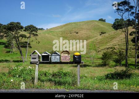 Boîtes aux lettres rurales près de Kawakawa Bay, région d'Auckland, Île du Nord, Nouvelle-Zélande Banque D'Images