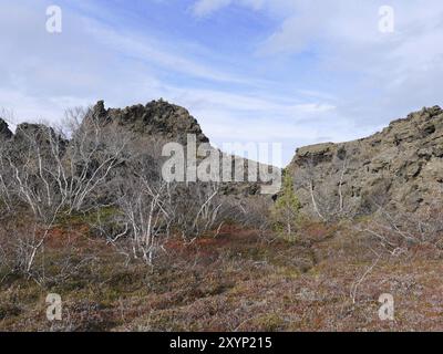 Formation de tuf dans le champ de lave de Dimmuborgir au lac Myvatn en Islande Banque D'Images