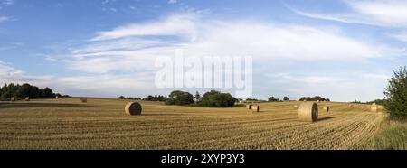 Vue panoramique de bottes de foin dans un champ sur la campagne au Danemark Banque D'Images