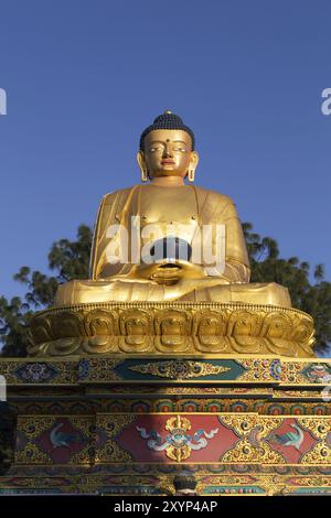 Katmandou, Népal, 20 octobre 2014 : Grande statue d'or dans le parc du Bouddha d'Amideva, en Asie Banque D'Images