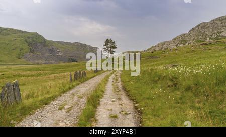 La ruine de Capel Rhosydd près de Blaenau Ffestiniog, Gwynedd, pays de Galles, Royaume-Uni, avec la carrière de Cwmorthin en arrière-plan Banque D'Images