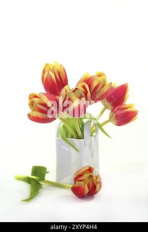 Bouquet de tulipes dans un vase sur fond blanc Banque D'Images