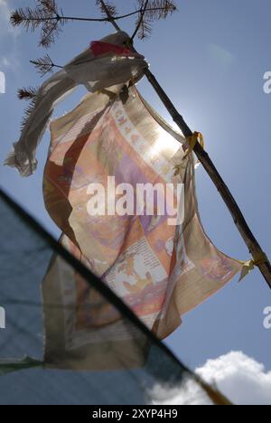 Un drapeau de prière à Thrumshingla, passer la frontière entre le centre et l'est du Bhoutan Banque D'Images