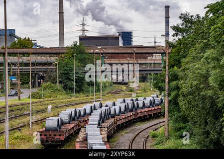 Bandstahl Rollen, Coils, auf Güterwagons, im ThyssenKrupp Steel Werk Schwelgern in Duisburg-Marxloh gehört zum Stahlwerk Bruckhausen, NRW, Deutschland ThyssenKrupp Steel *** rouleaux en acier, bobines, sur wagons de fret, à l'usine ThyssenKrupp Steel Schwelgern à Duisburg Marxloh fait partie de l'aciérie Bruckhausen, NRW, Allemagne ThyssenKrupp Steel Banque D'Images