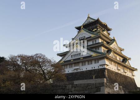 Osaka, Japon, 10 décembre 2014 : photographie du château historique, Asie Banque D'Images